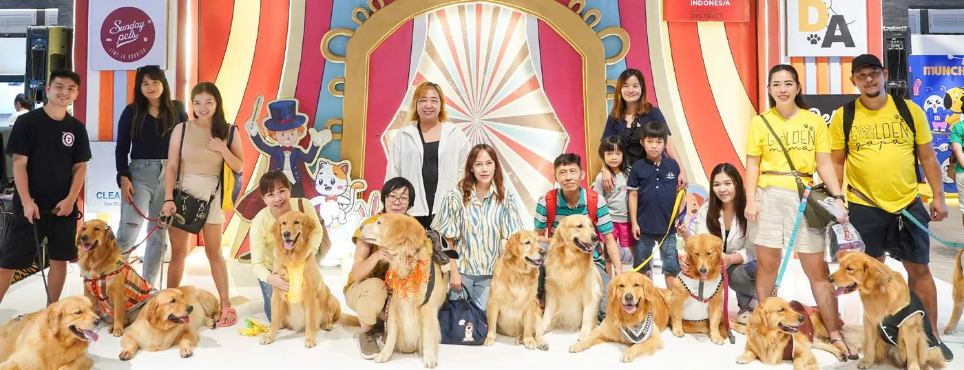 Belasan anjing golden retriever bersama pemiliknya berpose di depan panggung utama Pet Expo Roadshow